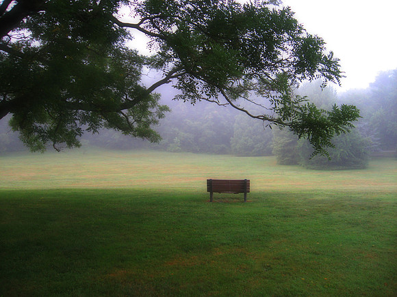 Dreamscape