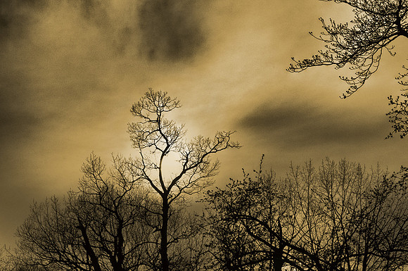 Fall Sky
