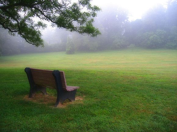 Foggy Glen