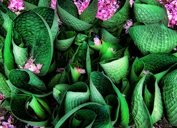Emerald and Pink